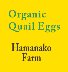 Organic Quail Eggs  Hamanako Farm