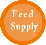 Feed Supply